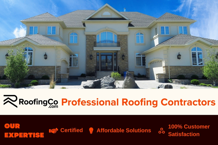 Professional Roofing Contractors - Roof Repair Services - Roofing CO